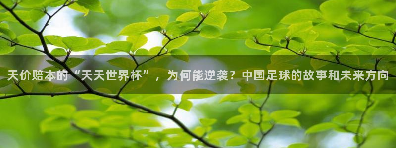 世界杯欧洲预选赛：天价赔本的“天天世界杯”，为何能逆袭？中国足球的故事和未来方向