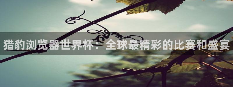 2026足球世界杯赛程时间表：猎豹浏览器世界杯：全球最精彩的比赛和盛宴
