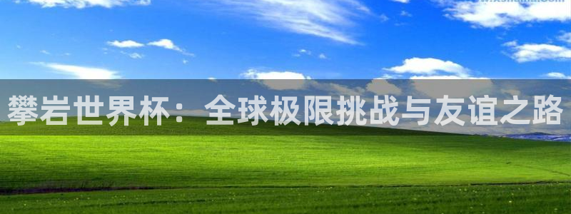 世界杯直播：攀岩世界杯：全球极限挑战与友谊之路