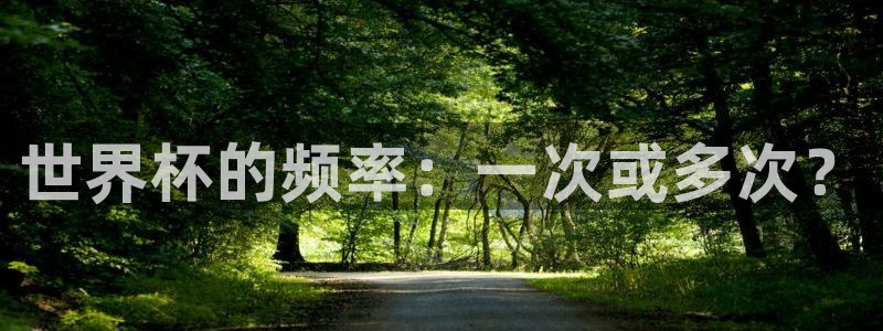 2026年男足世界杯：世界杯的频率：一次或多次？