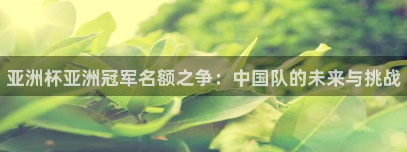 2026足球世界杯赛程时间表：亚洲杯亚洲冠军名额之争：中国队的未来与挑战