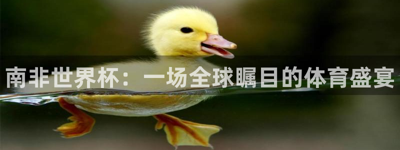 世界杯决赛预测：南非世界杯：一场全球瞩目的体育盛宴