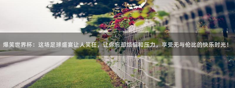 2026年世界杯对阵图：爆笑世界杯：这场足球盛宴让人笑狂，让你忘却烦恼和压力，享受无与伦比的快乐时光！