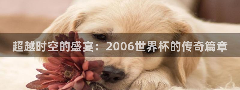 世界杯决赛直播：超越时空的盛宴：2006世界杯的传奇篇章