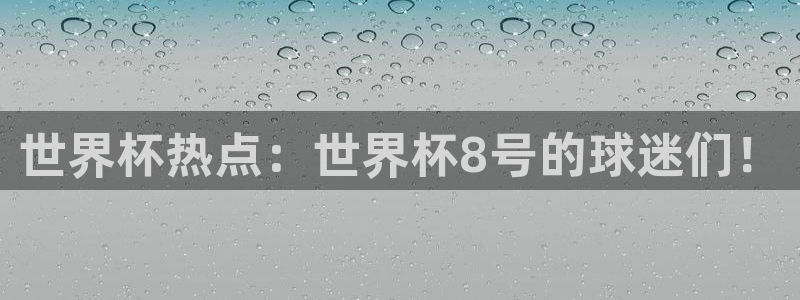 世界杯亚洲区预选赛：世界杯热点：世界杯8号的球迷们！