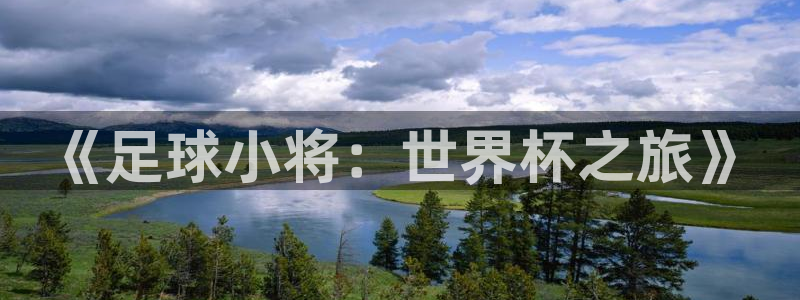 女足世界杯赛程：《足球小将：世界杯之旅》
