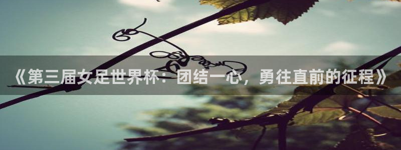 世界杯直播平台：《第三届女足世界杯：团结一心，勇往直前的征程》